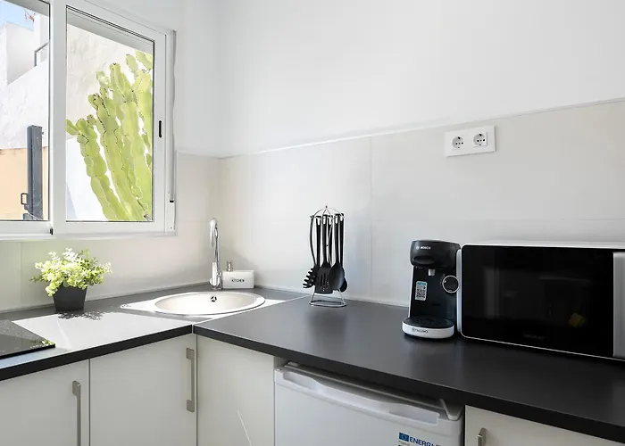 Daire Atico Enzo Conil De La Frontera